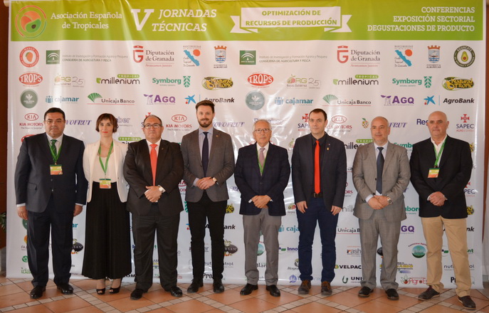 La costa granadina, con 6.625 hectáreas dedicadas al cultivo de chirimoya, aguacate, níspero y mango, obtiene una facturación de 73,1 millones